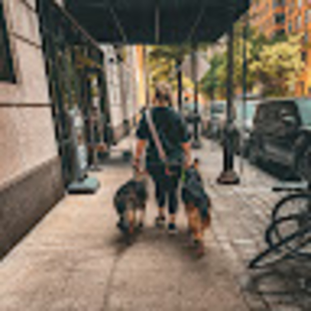 Meet your Posher, Taylor